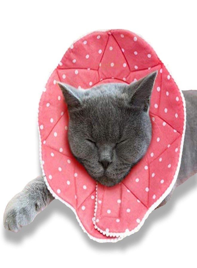 SunGrow Cat Cone Collar Soft, Pet Recovery Elizabethan E Collar Soft Neck Cone to Stop Licking for Cats & Kittens After Surgery, Cat Surgical Recovery Suit for Wound Cover, Puppy Dog & Rabbit Cone - Image 1
